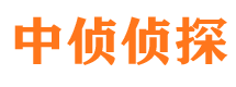 渑池寻人公司